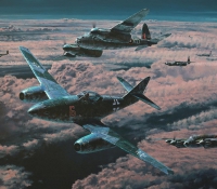 NIGHT HUNTERS  <em>Night Skies over the Reich Portfolio</em>