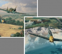  THE BATTLE OF BRITAIN PORTFOLIO   High Summer & Homeward Bound