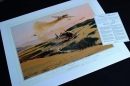 Rare Robert Taylor Prints - Now in stock!