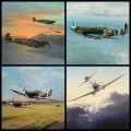 The Spitfire Collection by Robert Taylor
