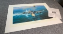 Caught on the Surface - RARE Robert Taylor print