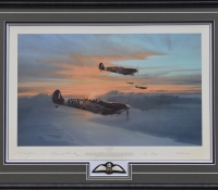 EAGLE FORCE <br> Framed Collectors Piece