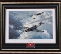 KNIGHT OF THE REICH <br> Framed Collectors Piece