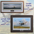 Two stunning Spitfire pieces now available framed!