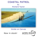 COASTAL PATROL by Richard Taylor