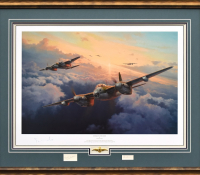 MOSQUITO THUNDER <br>Framed Collector's Piece