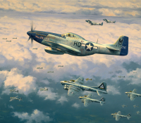 ESCORT TO THE REICH