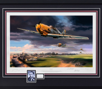 SUMMER STORM <br>Framed Collector's Piece